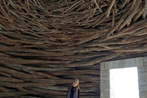 Andy Goldsworthy, _Oak Room_ (2009). Château La Coste, Provence, France. Photo: Georges Armaos.